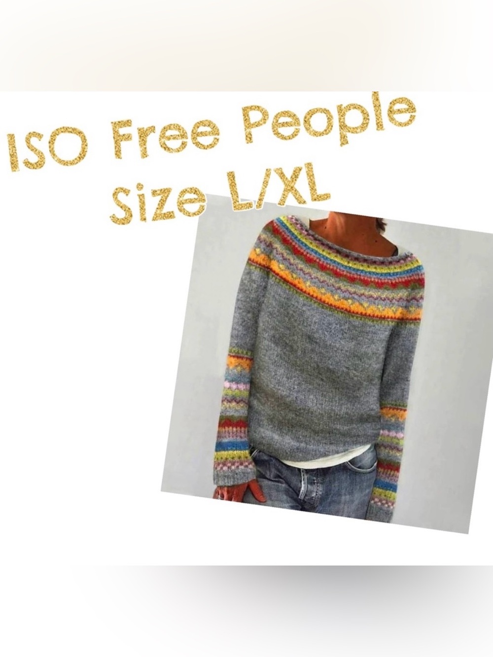 ISO! Free People Multicolor Knit Sweater